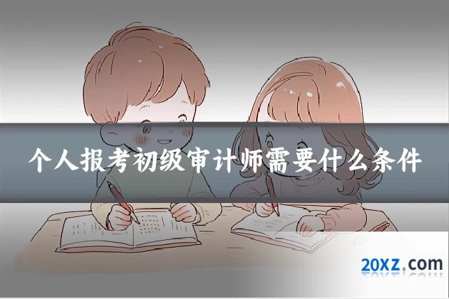 个人报考初级审计师需要什么条件