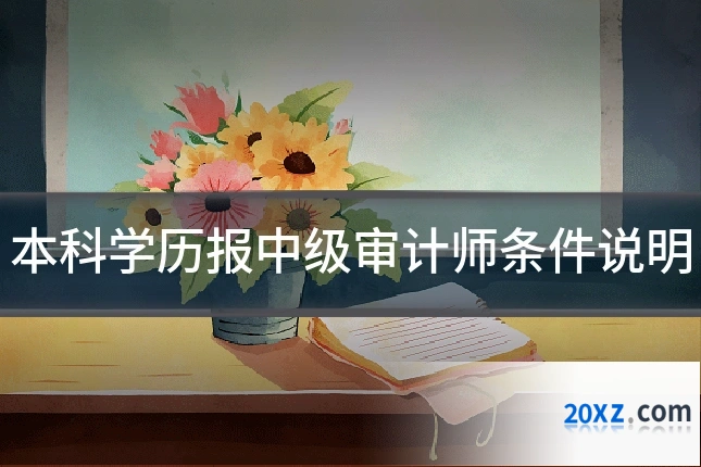本科学历报中级审计师条件说明