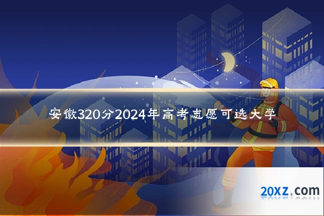 安徽320分2024年高考志愿可选大学
