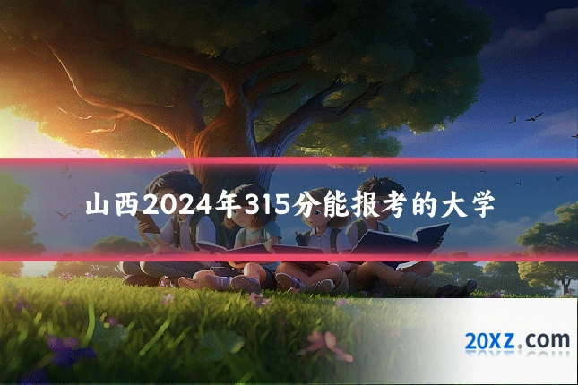 山西2024年315分能报考的大学