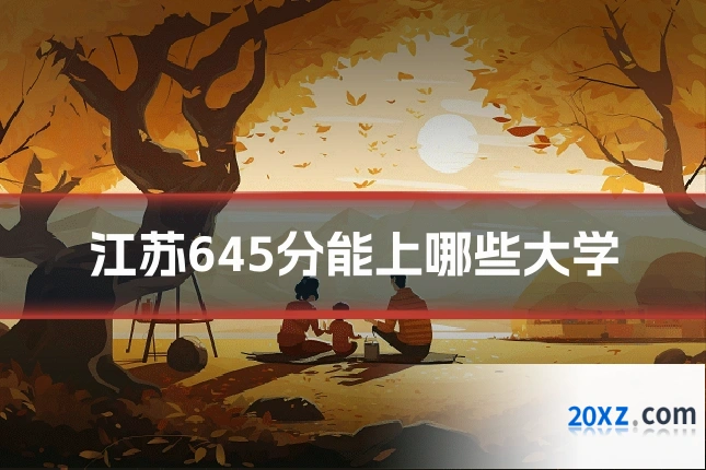 江苏645分能上哪些大学