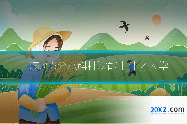 上海355分本科批次能上什么大学