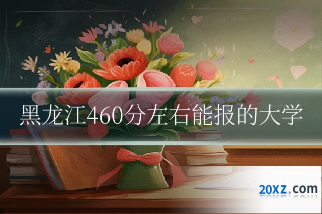 黑龙江460分左右能报的大学