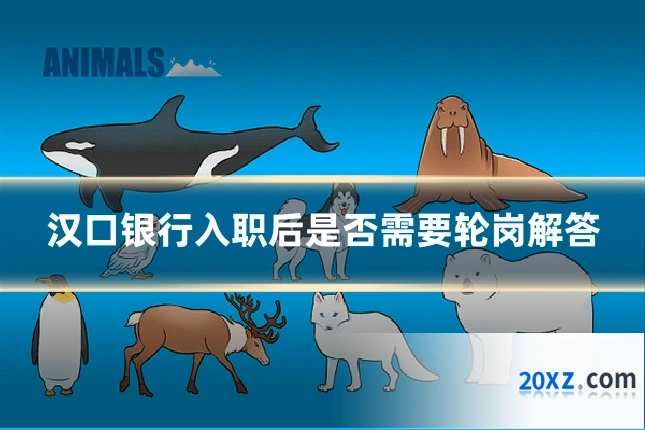 汉口银行入职后是否需要轮岗解答