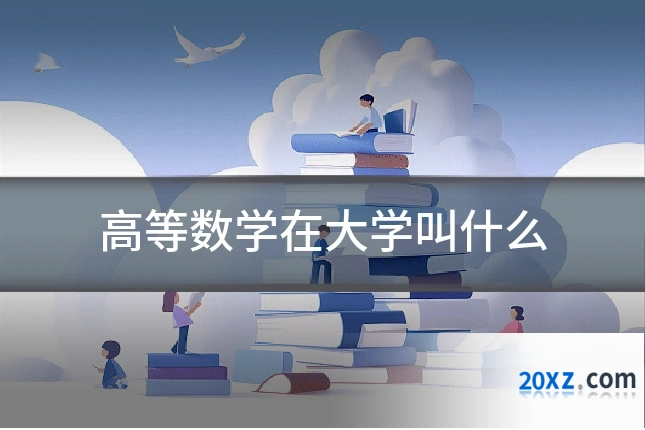 高等数学在大学叫什么
