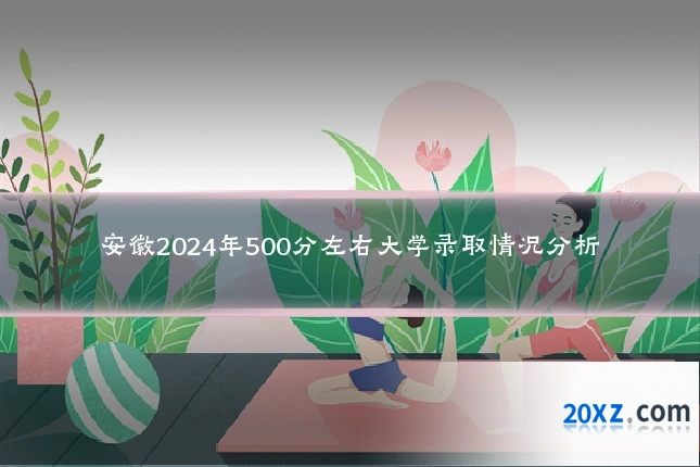 安徽2024年500分左右大学录取情况分析