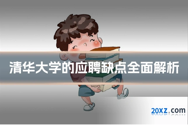 清华大学的应聘缺点全面解析