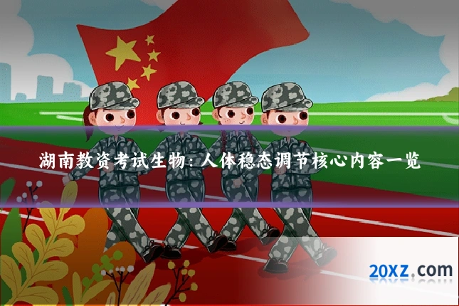湖南教资考试生物:人体稳态调节核心内容一览