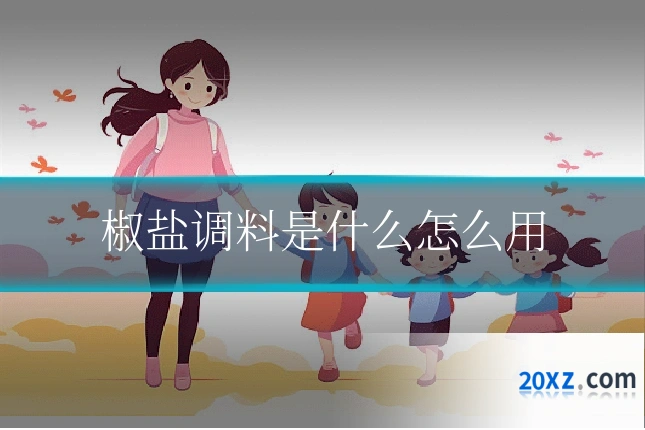 椒盐调料是什么怎么用