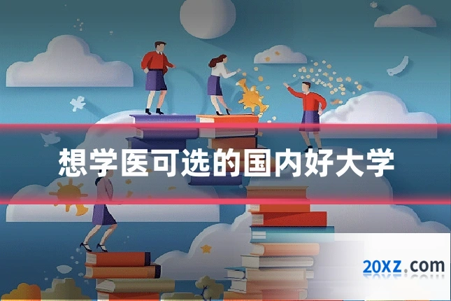 想学医可选的国内好大学