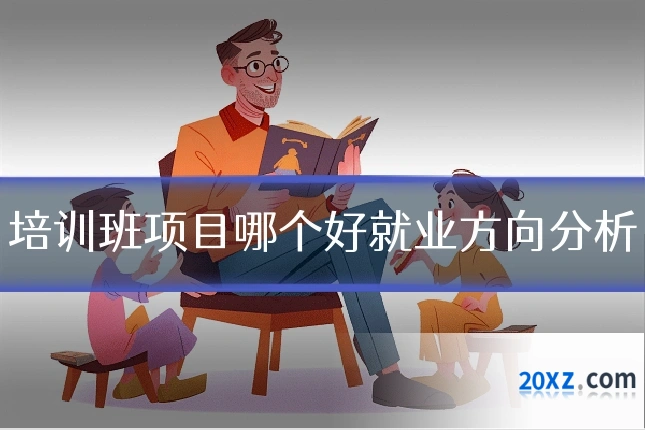 培训班项目哪个好就业方向分析