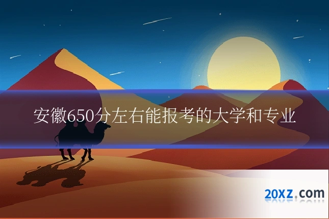 安徽650分左右能报考的大学和专业
