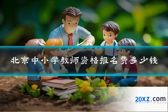 北京中小学教师资格报名费多少钱