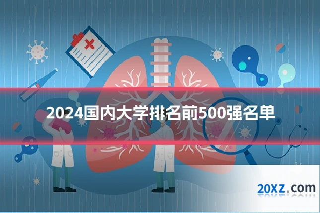 2024国内大学排名前500强名单