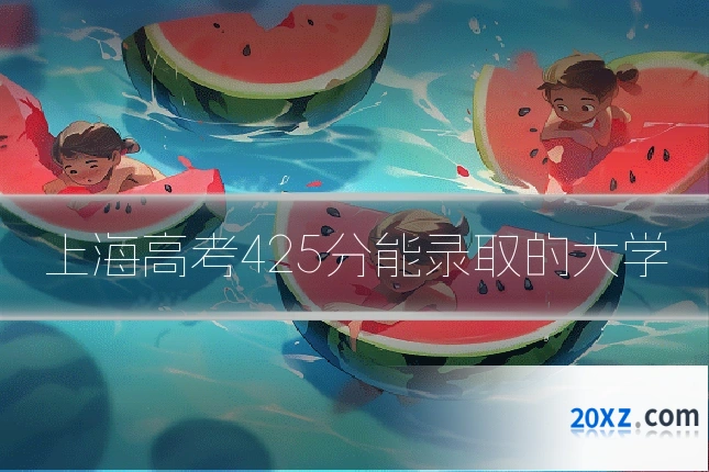 上海高考425分能录取的大学