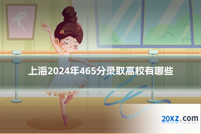上海2024年465分录取高校有哪些