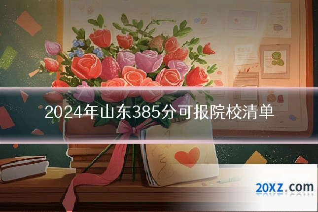 2024年山东385分可报院校清单