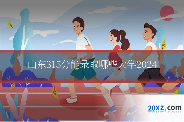 山东315分能录取哪些大学2024