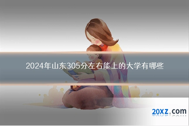 2024年山东305分左右能上的大学有哪些