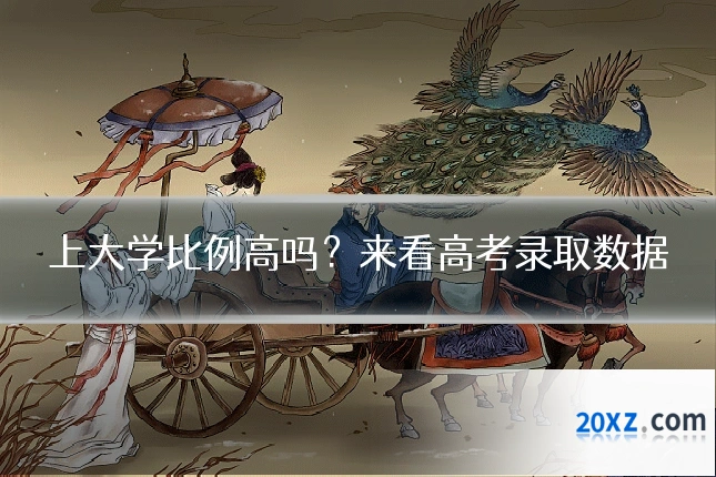 上大学比例高吗?来看高考录取数据