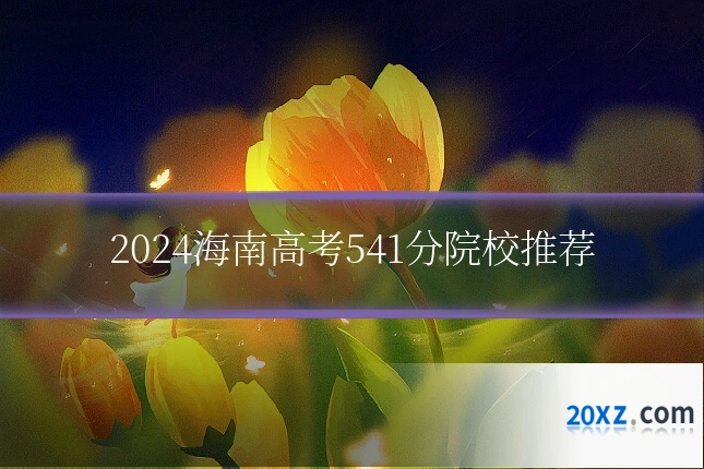 2024海南高考541分院校推荐