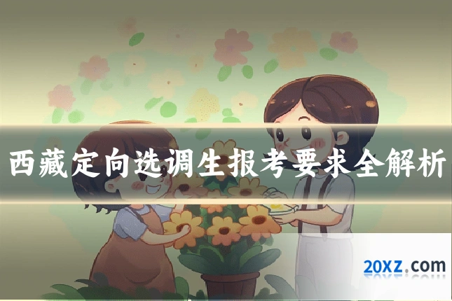 西藏定向选调生报考要求全解析
