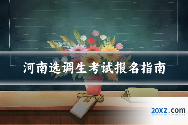 河南选调生考试报名指南