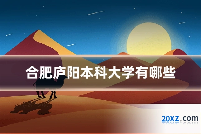合肥庐阳本科大学有哪些