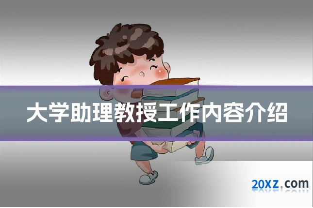 大学助理教授工作内容介绍