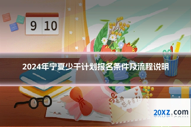 2024年宁夏少干计划报名条件及流程说明