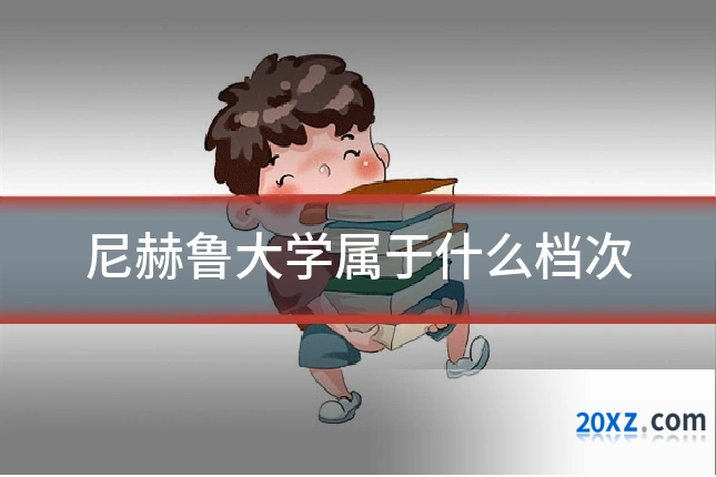 尼赫鲁大学属于什么档次