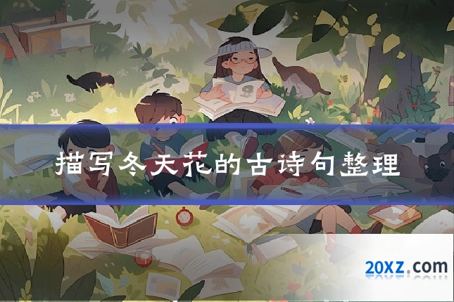 描写冬天花的古诗句整理