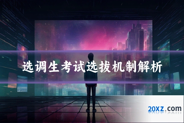 选调生考试选拔机制解析