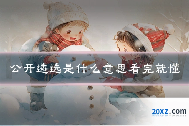公开遴选是什么意思看完就懂