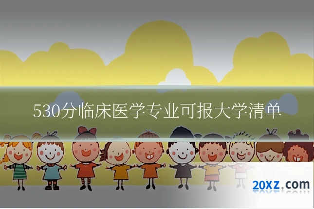 530分临床医学专业可报大学清单