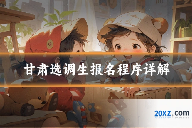 甘肃选调生报名程序详解