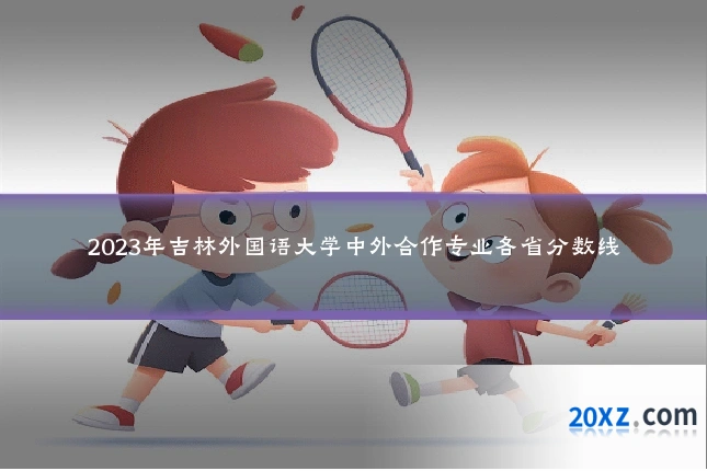 2023年吉林外国语大学中外合作专业各省分数线