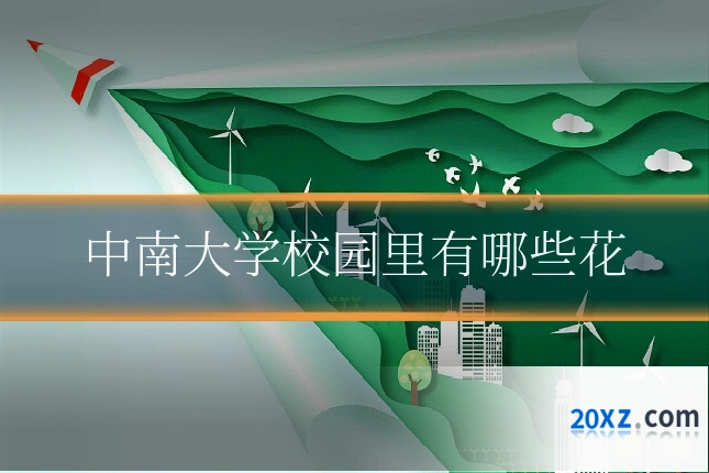 中南大学校园里有哪些花
