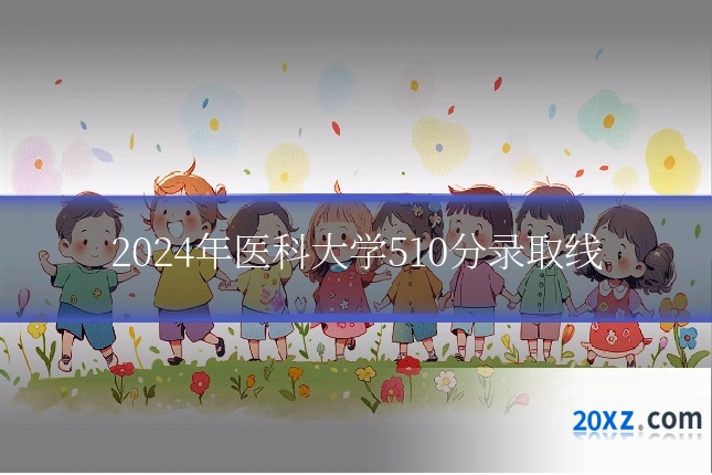 2024年医科大学510分录取线