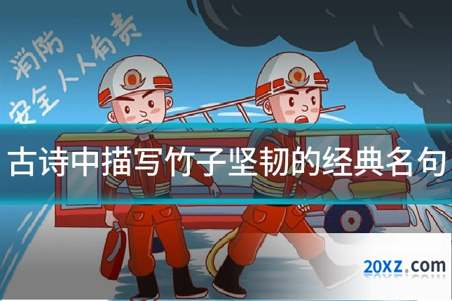 古诗中描写竹子坚韧的经典名句