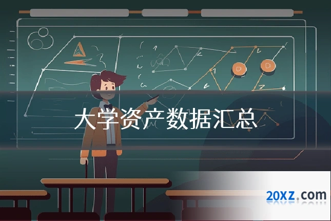 大学资产数据汇总