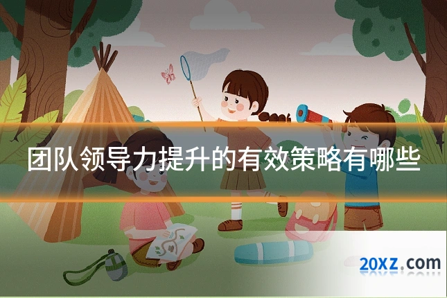 团队领导力提升的有效策略有哪些