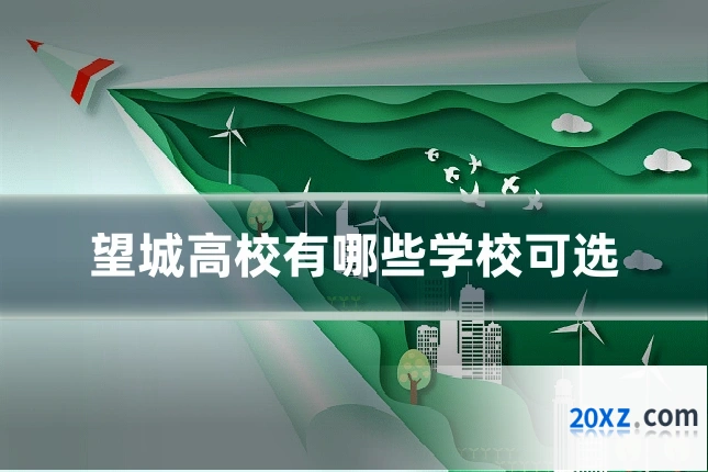 望城高校有哪些学校可选