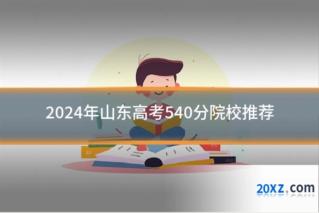 2024年山东高考540分院校推荐