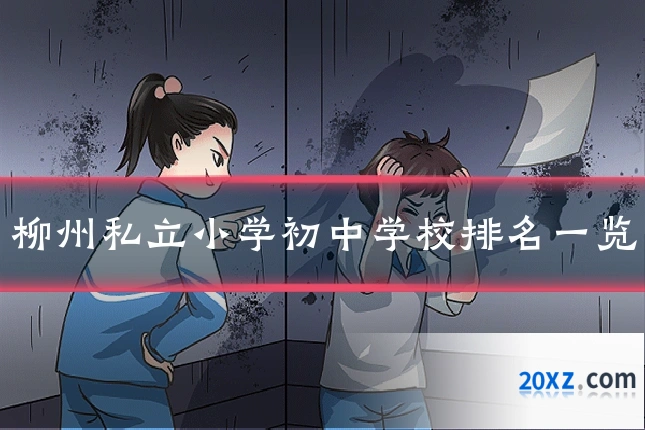 柳州私立小学初中学校排名一览