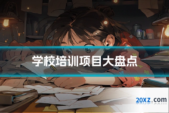 学校培训项目大盘点