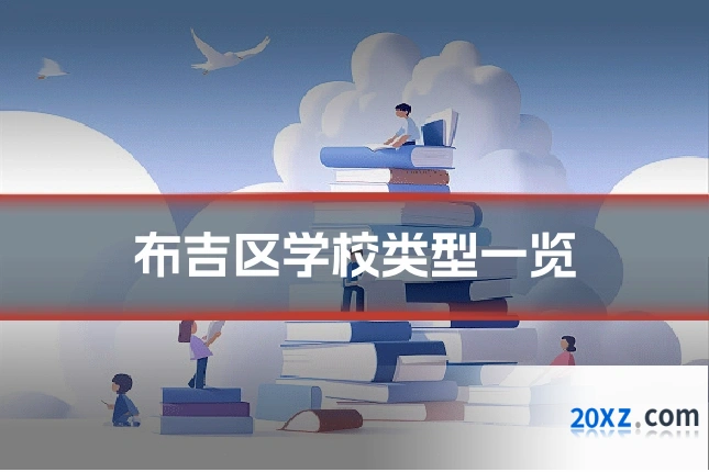 布吉区学校类型一览