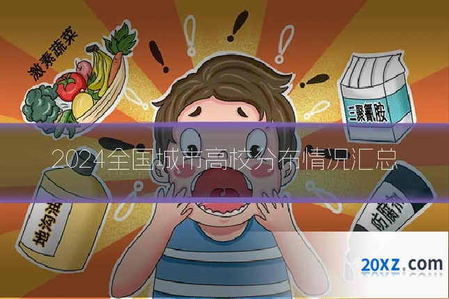 2024全国城市高校分布情况汇总
