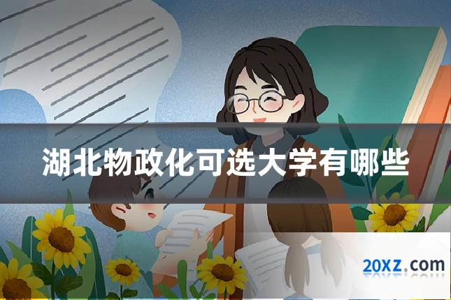 湖北物政化可选大学有哪些