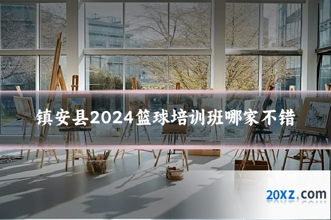 镇安县2024篮球培训班哪家不错